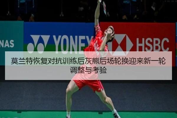 莫兰特恢复对抗训练后灰熊后场轮换迎来新一轮调整与考验